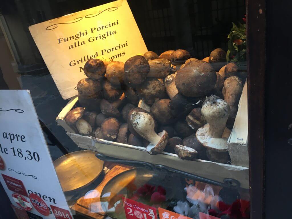 Fresh Porcini Mushrooms - Florence